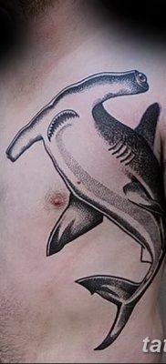 фото тату акула-молот от 25.09.2017 №082 — tattoo hammerhead shark — tatufoto.com
