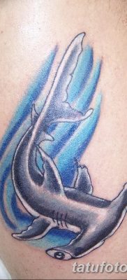 фото тату акула-молот от 25.09.2017 №085 — tattoo hammerhead shark — tatufoto.com
