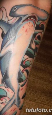 фото тату акула-молот от 25.09.2017 №092 — tattoo hammerhead shark — tatufoto.com