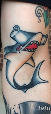 фото тату акула-молот от 25.09.2017 №095 — tattoo hammerhead shark — tatufoto.com