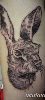 фото тату заяц от 02.09.2017 №003 — tatoos hare — tatufoto.com