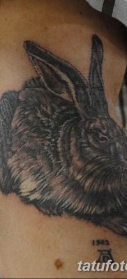 фото тату заяц от 02.09.2017 №005 — tatoos hare — tatufoto.com