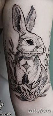 фото тату заяц от 02.09.2017 №019 — tatoos hare — tatufoto.com