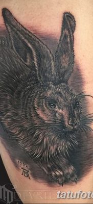 фото тату заяц от 02.09.2017 №021 — tatoos hare — tatufoto.com