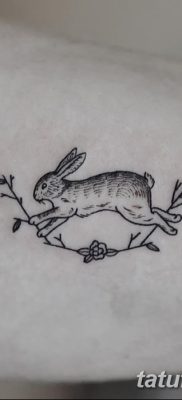 фото тату заяц от 02.09.2017 №026 — tatoos hare — tatufoto.com