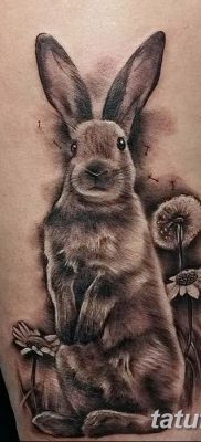 фото тату заяц от 02.09.2017 №030 — tatoos hare — tatufoto.com