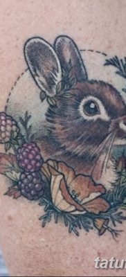 фото тату заяц от 02.09.2017 №038 — tatoos hare — tatufoto.com