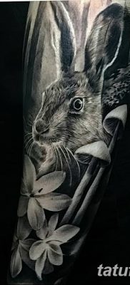 фото тату заяц от 02.09.2017 №042 — tatoos hare — tatufoto.com