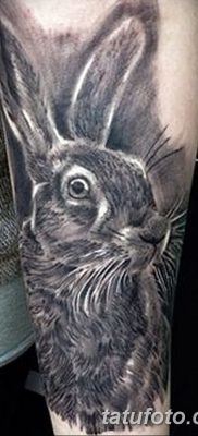 фото тату заяц от 02.09.2017 №044 — tatoos hare — tatufoto.com