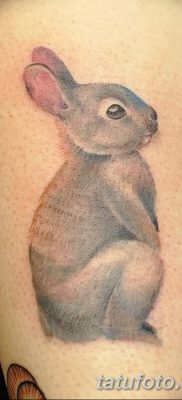 фото тату заяц от 02.09.2017 №060 — tatoos hare — tatufoto.com
