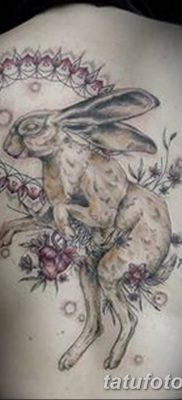 фото тату заяц от 02.09.2017 №061 — tatoos hare — tatufoto.com