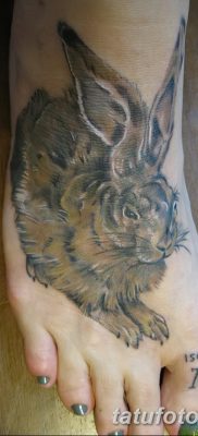 фото тату заяц от 02.09.2017 №070 — tatoos hare — tatufoto.com