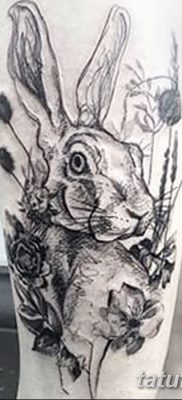 фото тату заяц от 02.09.2017 №071 — tatoos hare — tatufoto.com