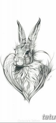 фото тату заяц от 02.09.2017 №083 — tatoos hare — tatufoto.com