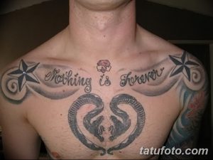 фото тату звезды на плечах от 19.09.2017 №056 - tattoo of a star on the shoul - tatufoto.com