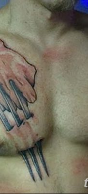 фото тату когти от 13.09.2017 №002 — tattoo claws — tatufoto.com