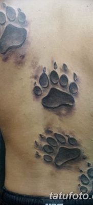 фото тату когти от 13.09.2017 №003 — tattoo claws — tatufoto.com