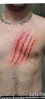 фото тату когти от 13.09.2017 №006 — tattoo claws — tatufoto.com
