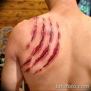 фото тату когти от 13.09.2017 №008 - tattoo claws - tatufoto.com