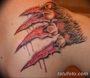 фото тату когти от 13.09.2017 №011 - tattoo claws - tatufoto.com