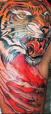 фото тату когти от 13.09.2017 №014 — tattoo claws — tatufoto.com