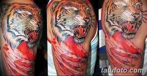 фото тату когти от 13.09.2017 №014 - tattoo claws - tatufoto.com