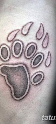 фото тату когти от 13.09.2017 №017 — tattoo claws — tatufoto.com