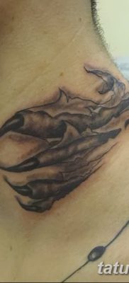 фото тату когти от 13.09.2017 №020 — tattoo claws — tatufoto.com