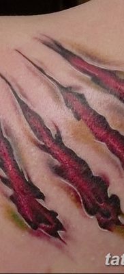 фото тату когти от 13.09.2017 №027 — tattoo claws — tatufoto.com