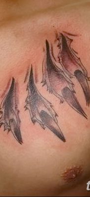 фото тату когти от 13.09.2017 №034 — tattoo claws — tatufoto.com
