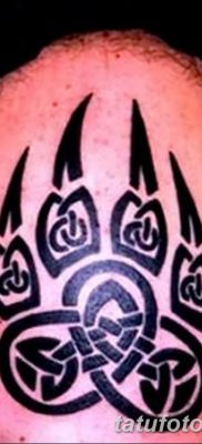 фото тату когти от 13.09.2017 №037 — tattoo claws — tatufoto.com