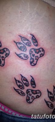 фото тату когти от 13.09.2017 №049 — tattoo claws — tatufoto.com