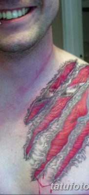 фото тату когти от 13.09.2017 №052 — tattoo claws — tatufoto.com