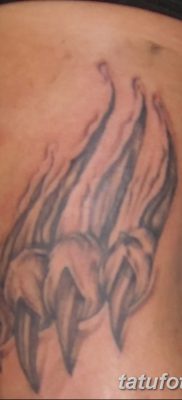 фото тату когти от 13.09.2017 №056 — tattoo claws — tatufoto.com