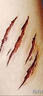 фото тату когти от 13.09.2017 №058 — tattoo claws — tatufoto.com