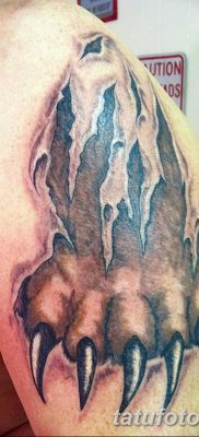 фото тату когти от 13.09.2017 №065 — tattoo claws — tatufoto.com