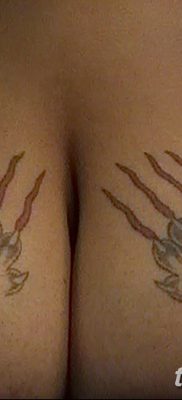 фото тату когти от 13.09.2017 №068 — tattoo claws — tatufoto.com