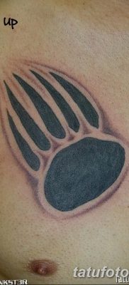 фото тату когти от 13.09.2017 №069 — tattoo claws — tatufoto.com