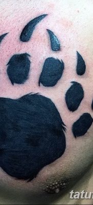 фото тату когти от 13.09.2017 №072 — tattoo claws — tatufoto.com