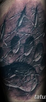 фото тату когти от 13.09.2017 №074 — tattoo claws — tatufoto.com