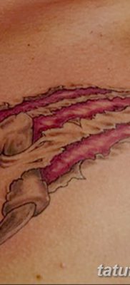 фото тату когти от 13.09.2017 №077 — tattoo claws — tatufoto.com