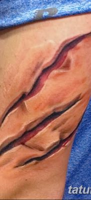 фото тату когти от 13.09.2017 №079 — tattoo claws — tatufoto.com