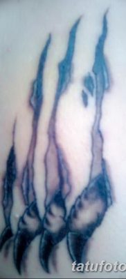 фото тату когти от 13.09.2017 №080 — tattoo claws — tatufoto.com