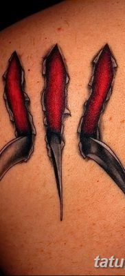 фото тату когти от 13.09.2017 №085 — tattoo claws — tatufoto.com