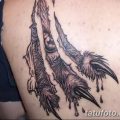 фото тату когти от 13.09.2017 №106 - tattoo claws - tatufoto.com