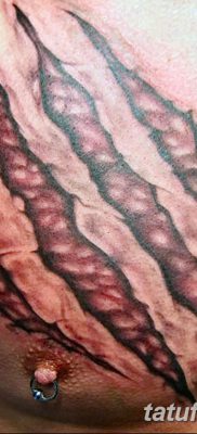 фото тату когти от 13.09.2017 №114 — tattoo claws — tatufoto.com