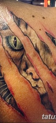 фото тату когти от 13.09.2017 №118 — tattoo claws — tatufoto.com