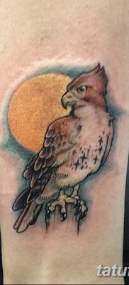 фото тату коршун птица от 12.09.2017 №001 — tattoo kite bird — tatufoto.com