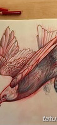 фото тату коршун птица от 12.09.2017 №005 — tattoo kite bird — tatufoto.com