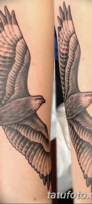 фото тату коршун птица от 12.09.2017 №008 — tattoo kite bird — tatufoto.com